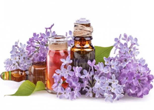 Lilak infusioa